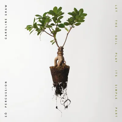 Let the Soil Play Its Simple Part by Caroline Shaw & Sō Percussion