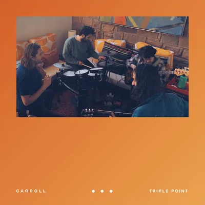 Triple Point by Carroll