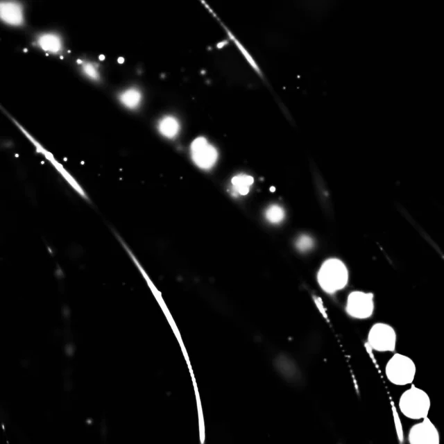 Astronaut by Forest Circles