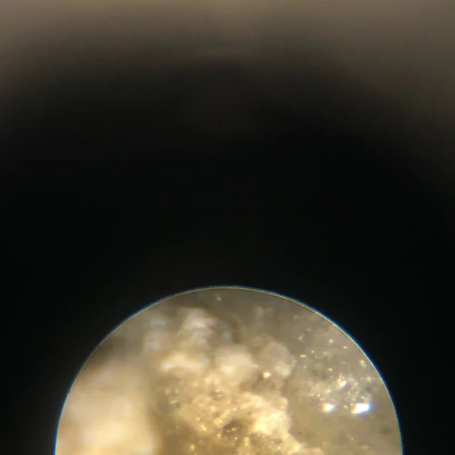 I Need You by Lizdelise